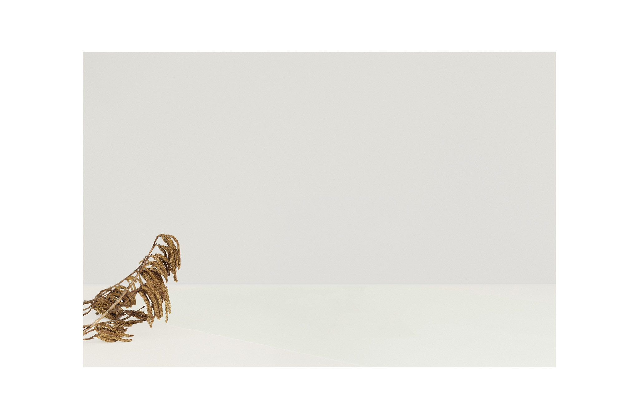 AlfieDouglas handmade designer bag London photo by StudioOtherness